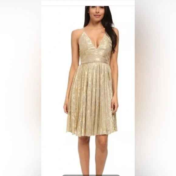 Sam Edelman Russian GoldRomance Dress - Picture 2 of 15